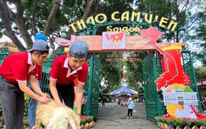 Từng suýt đóng cửa vì nợ thuế 850 tỷ đồng, vườn thú 160 năm tuổi bất ngờ thông báo có lãi hơn 4,8 tỷ: Vé vào cổng chiếm hơn 60% tổng doanh thu