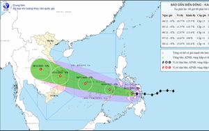 Bão Kalmaegi rất mạnh sắp đổ bộ trực tiếp vào nước ta, 8 tỉnh ứng phó khẩn