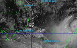 Vì sao bão số 13 Kalmaegi còn mạnh lên sau khi vào Biển Đông?