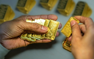 Công khai Kết luận thanh tra PNJ Tiền Giang, Vàng bạc Ngọc Thẩm, Vàng bạc Ngọc Hải