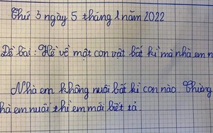 Bài văn tả con vật của học sinh tiểu học khiến cô giáo đọc xong chỉ biết lắc đầu: "Cho em 1 điểm viết, 9 điểm thật thà"