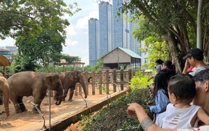 Thảo Cầm Viên Sài Gòn bỏ túi 450 triệu đồng/ngày