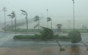 Bão số 13 Kalmaegi giật cấp 16 đổ bộ, 1 tỉnh huy động ô tô, xe thiết giáp khẩn cấp ứng phó