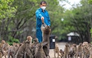 TP. Hồ Chí Minh dự kiến chi 1,6 tỷ/ngày để làm một việc quan trọng