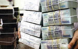 Nhận 2 thùng tiền của nữ doanh nhân, cựu cán bộ TAND Tối cao hầu toà