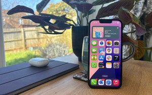 iPhone đời cao giá mềm của Apple lao dốc mạnh, giá thấp kỷ lục tại Việt Nam
