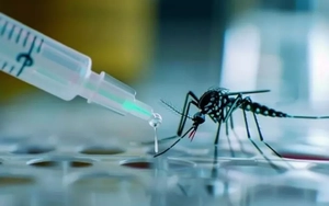 Thử nghiệm vắc xin phòng sốt xuất huyết mới, kỳ vọng chặn đứng dịch bệnh