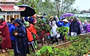 Hà Tĩnh: Nam sinh lớp 9 bị học sinh lớp 11 đánh tử vong