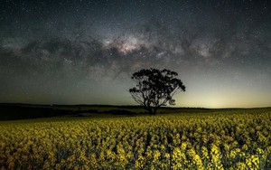 Giữa căng thẳng thương mại với láng giềng Washington, quốc gia BRICS nối lại nhập khẩu mặt hàng tỷ USD từ nước đồng minh của Mỹ sau 5 năm 'chặn cửa'