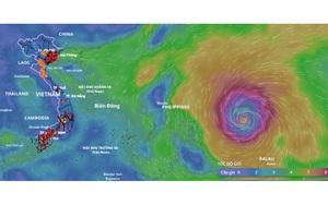 Bão Phượng Hoàng tăng cấp dữ dội, đã mạnh lên cấp cuồng phong, có đổ bộ vào đất liền nước ta?