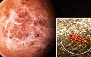 Nếu có sự sống trên Sao Kim: Những sinh vật tồn tại trong 'địa ngục mây axit' sẽ ra sao?