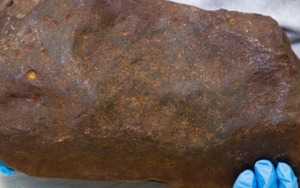 Tưởng nhặt được khối vàng 17 kg trị giá 60 tỷ đồng trong công viên, người đàn ông ‘ngã ngửa’ khi biết giá trị thật của kho báu trong tay