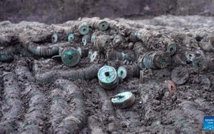 Phát hiện kho báu nặng 1,5 tấn gồm hàng triệu vật thể "xâu thành chuỗi", có màu xanh lục dưới hố sâu 0,5m