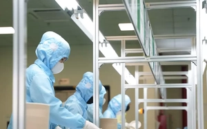 Ngành nhựa Việt Nam đạt 32 tỷ USD, mạnh mẽ ‘xanh hoá’ để không bị tụt lại