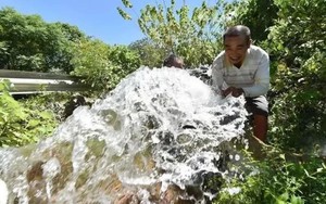 Khoan giếng trong vườn để lấy nước sinh hoạt, người đàn ông bị cơ quan chức năng phạt 186 triệu đồng: Khi nhận ra lỗi sai thì đã quá muộn