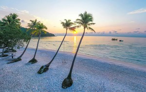 Việt Nam vươn lên trở thành điểm đến yêu thích dịp cuối năm