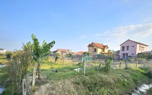 Khu đất công 1.500 m² được gia đình cựu Bí thư phường thuê với giá chỉ 500.000 đồng/năm