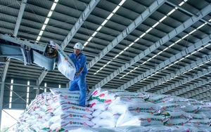 Loạt sáng chế giúp Đạm Cà Mau tiết kiệm hơn 1.500 tỷ đồng, giảm mạnh phát thải CO₂