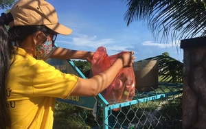 Từ lon nhựa tới heo giống: Mô hình 'vàng hóa rác thải' ở Thăng An