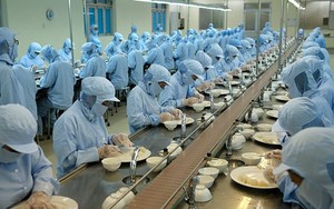 Một doanh nghiệp nhà nước giải thể 11 đơn vị và công ty con