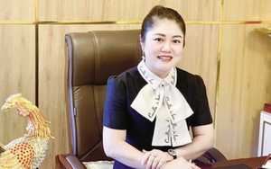 Nữ chủ tịch lừa có dự án trồng sâm Ngọc Linh để huy động gần 1.300 tỉ đồng