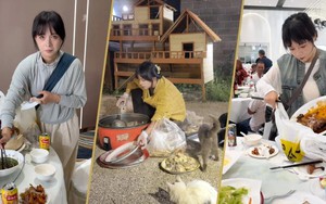 Xông vào 100 đám cưới xin đồ ăn để nuôi 120 mèo hoang, cô gái hết sợ giao tiếp