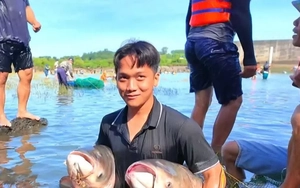 Người dân đổ xô vào Thuỷ điện Trị An bắt cá khủng