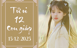 Tử vi 12 con giáp hôm nay ngày 15/12/2025: Dậu tài lộc, Tuất gặp thử thách