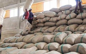 Hàng chục nghìn tấn hàng của Việt Nam được Nga đổ tiền mua với giá cực đắt: thuế nhập khẩu 0%, sản lượng hơn 1 triệu tấn/năm