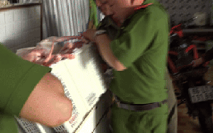 CLIP: Hình ảnh ớn lạnh bên trong kho chứa mèo ở Đồng Tháp