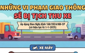 [Infographic] - Những lỗi vi phạm giao thông nào sẽ bị tịch thu xe?