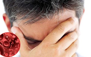 Tóc bạc sớm có phải do “máu xấu”?