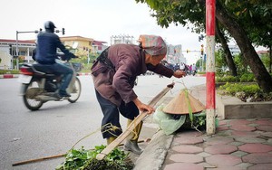 Tôi phát hoảng khi biết gia cảnh bà cụ bán rau mà ngày nào tôi cũng mua ủng hộ