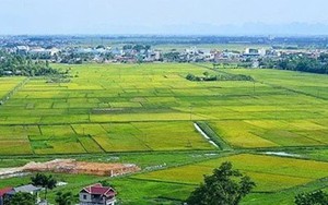 Đề xuất mới về cấp giấy chứng nhận quyền sử dụng đất, cho thuê, chuyển mục đích sử dụng đất,...