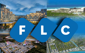 Hàng loạt công ty có liên quan ông Trịnh Văn Quyết- FLC rời sàn chứng khoán