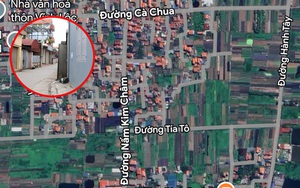 Xôn xao đường ở Hà Nội đặt tên Cà Chua, Hành Tây, Nấm Kim Châm: Sự thật bất ngờ