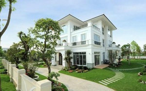 Nhà trồng 4 cây này thì giữ cho kỹ, gia chủ không giàu cũng khó mà nghèo, chặt đi là mất lộc ngay