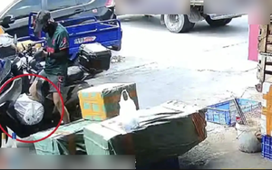 Nhận 97.000 đồng để giao... 1 con cá sấu, shipper gặp nguy khi đơn hàng bất ngờ sống dậy giữa đường đi