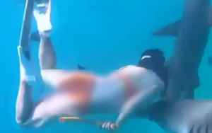 Kinh hoàng cảnh cô gái bị cá mập cắn nhưng vẫn từ chối lên bờ vì muốn chụp thêm ảnh