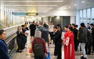 Hãng hàng không giá rẻ tốt nhất thế giới bất ngờ mở đường bay mới ở Việt Nam