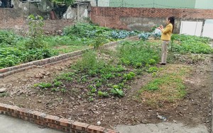 Từ 1/1/2026, chính thức giảm 70% tiền chuyển đất nông nghiệp lên đất thổ, người dân cần chú ý