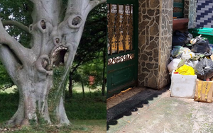 Trước nhà có 3 thứ này, làm ăn khó phất dù rất chăm chỉ