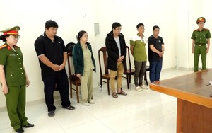 Bắt 4 người liên quan vụ 1 người tử vong trên trụ điện trung thế ở Khánh Hòa