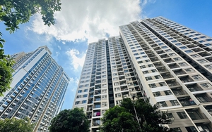 Kinh nghiệm 15 năm sống chung cư: Tôi nhận ra nên làm phòng khách ngang hay dọc, chọn đúng thì sống sướng, bán dễ