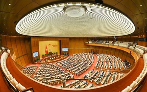 Quốc hội nhiệm kỳ khóa mới: Hà Nội và TPHCM có số đại biểu Quốc hội được bầu nhiều nhất