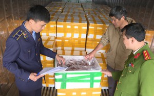 Phát hiện hơn 10 tấn cá khoai nhập từ Trung Quốc ướp chất cấm Formol