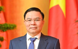 Tiểu sử ông Lê Mạnh Hùng, Quyền Bộ trưởng Bộ Công Thương