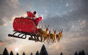 Sự thật ít người biết về giới tính 9 con tuần lộc của ông già Noel