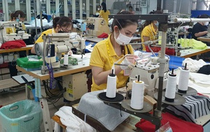 Doanh nghiệp có bắt buộc phải thưởng Tết cho nhân viên?