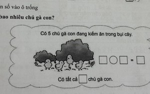 Bài toán tiểu học khiến phụ huynh phải lên mạng hỏi vì dữ liệu được "giấu" trong bụi cây